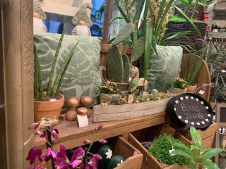 Fleuriste Floridée 0