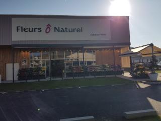 Fleuriste Fleurs Ô Naturel 0