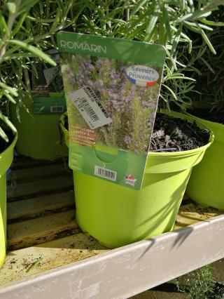 Fleuriste E.Leclerc Jardi 0