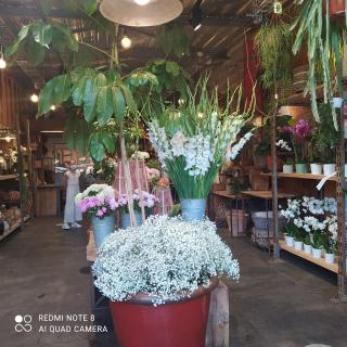 Fleuriste Zeste, Artisan Fleuriste Montauban 0