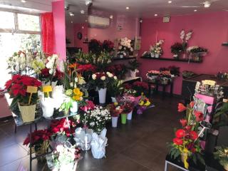 Fleuriste Orchidées rose 0