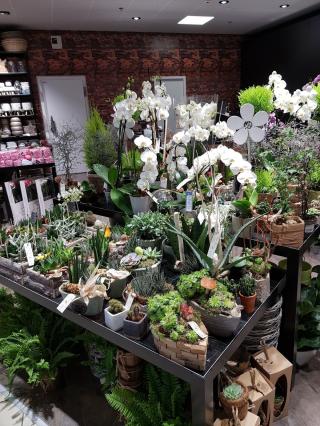 Fleuriste Atelier Floral 0