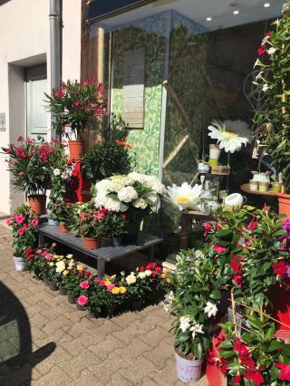 Fleuriste Au Bouquet Champêtre 0