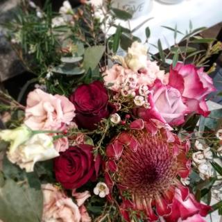 Fleuriste A fleur de pot Fleuriste 0