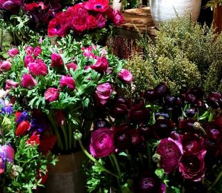 Fleuriste Maison Beaufrere 0