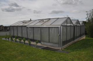 Fleuriste Patrick POLBOS Orchids 0