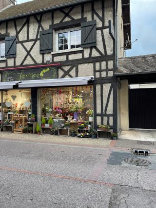 Fleuriste Vert Tige 0