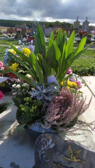 Fleuriste Vert Tige 0