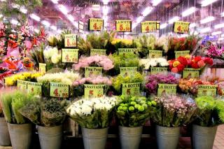Fleuriste Valdoly Fleurs 0