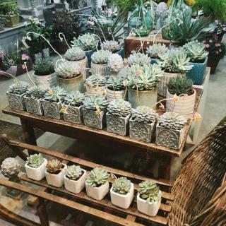 Fleuriste Fleurs et Flowers 0