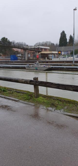 Fleuriste Delcroix Martine 1