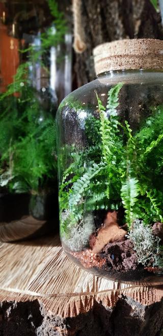 Fleuriste Il Etait Une Fleur 0