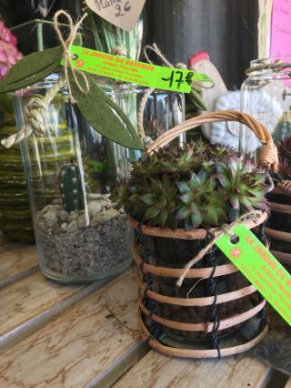 Fleuriste Le Jardin de Béatrice 0