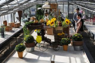 Fleuriste Petales & Pistils - Artisan Fleuriste 2