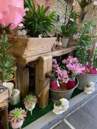 Fleuriste L'Iris Noir, Fleuriste 0