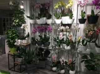 Fleuriste Pompes funèbres Philippe Loubere 1