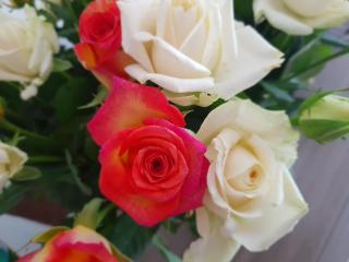 Fleuriste Guillard Gilles 1