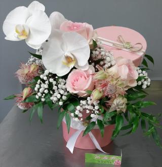 Fleuriste Vert Tige Floral 0