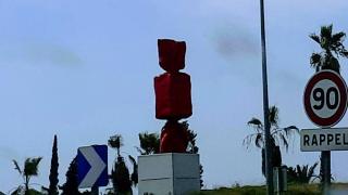 Fleuriste Amaryllis 2