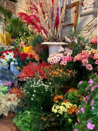 Fleuriste Yvette et Marguerite - Maison BEAUCHESNE 0