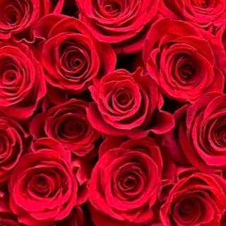 Fleuriste Fleurs Flora 0