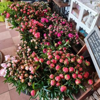 Fleuriste Fleuriste Un jour, une fleur Strasbourg 0