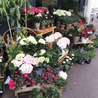 Fleuriste Audrey B. Fleuriste 1