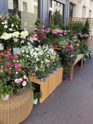 Fleuriste Audrey B. Fleuriste 0