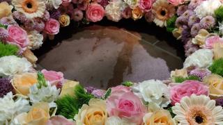 Fleuriste L'Atelier d'Amélie 0