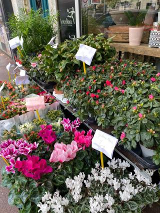 Fleuriste Ophelie Fleurs 2