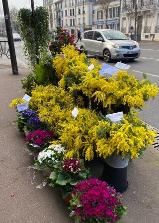 Fleuriste Ophelie Fleurs 0