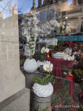 Fleuriste Nymphéa 2