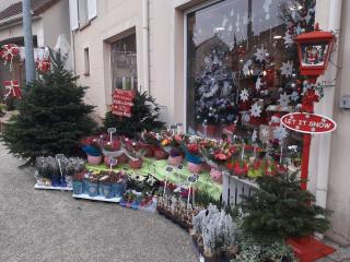 Fleuriste O'Flocon 2