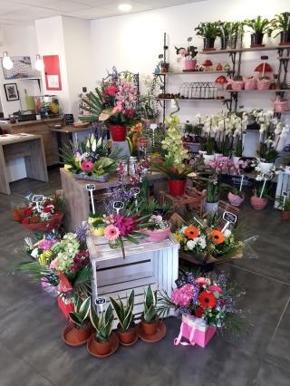 Fleuriste O'Flocon 0