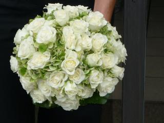 Fleuriste Eglantine 0