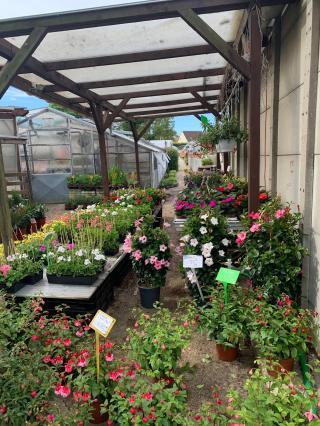 Fleuriste MICHOUX Horticulture 2