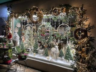 Fleuriste Lumière Végétale 0