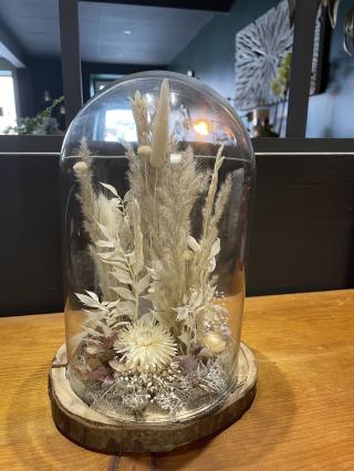 Fleuriste Lumière Végétale 0