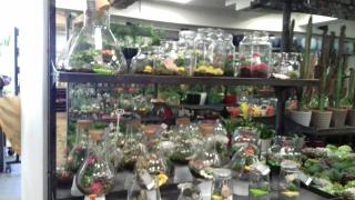 Fleuriste Fleuriste city fleuriste 2