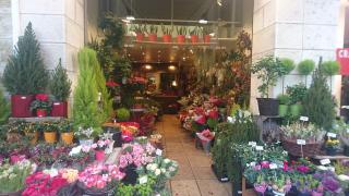 Fleuriste Uflora 0