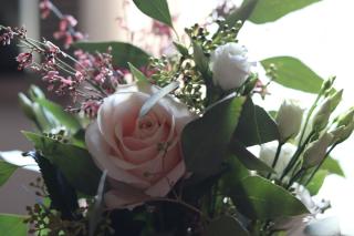 Fleuriste Stéphanie Desclouds 1