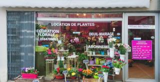 Fleuriste Vert'Tige 0