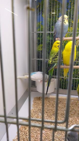 Fleuriste E.Leclerc Jardi 0