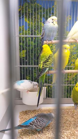 Fleuriste E.Leclerc Jardi 0