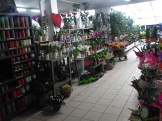 Fleuriste La Bouquetterie 1