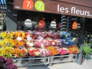 Fleuriste Botania - TARBES 1