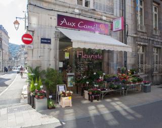 Fleuriste Aux Camélias Fleuriste 0