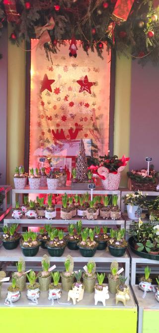 Fleuriste Le jardin de lily 0