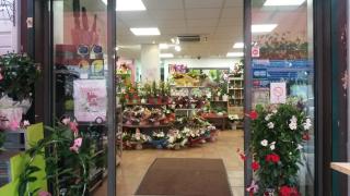 Fleuriste Le jardin de lily 0