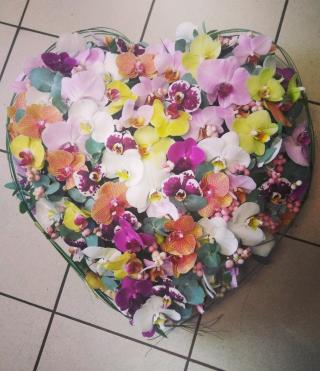 Fleuriste La Fontaine aux Fleurs 0